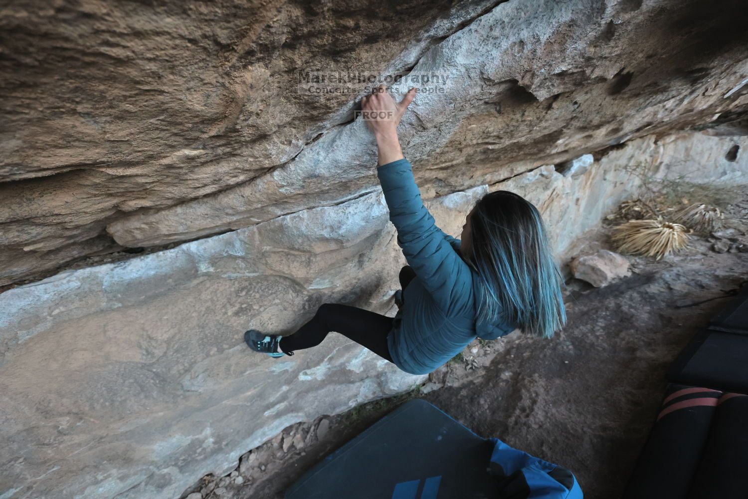 

Filename: SRM_20211125_1648220.jpg
Aperture: f/5.6
Shutter Speed: 1/640
Body: Canon EOS R6
Lens: Canon EF 16-35mm f/2.8 L