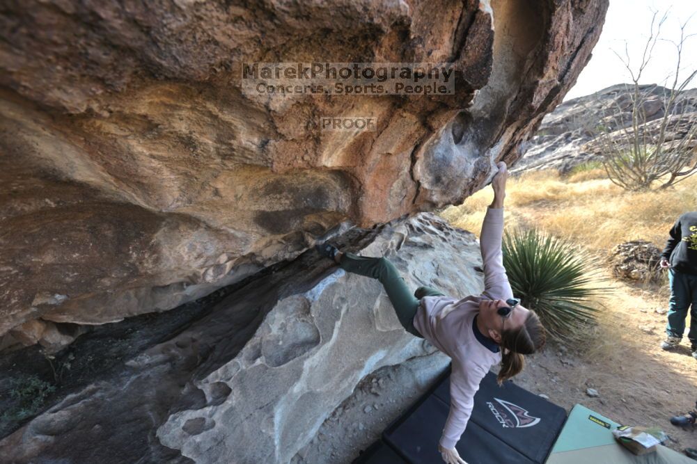 Filename: SRM_20211126_0936300.jpg
Aperture: f/5.6
Shutter Speed: 1/400
Body: Canon EOS R6
Lens: Canon EF 16-35mm f/2.8 L