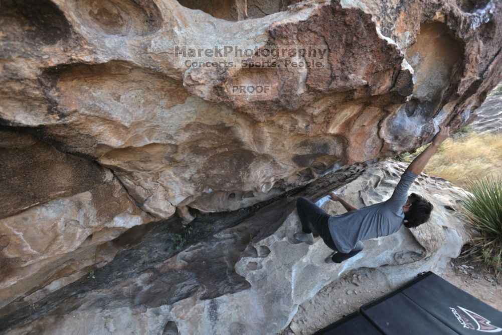 

Filename: SRM_20211126_0940250.jpg
Aperture: f/5.6
Shutter Speed: 1/400
Body: Canon EOS R6
Lens: Canon EF 16-35mm f/2.8 L