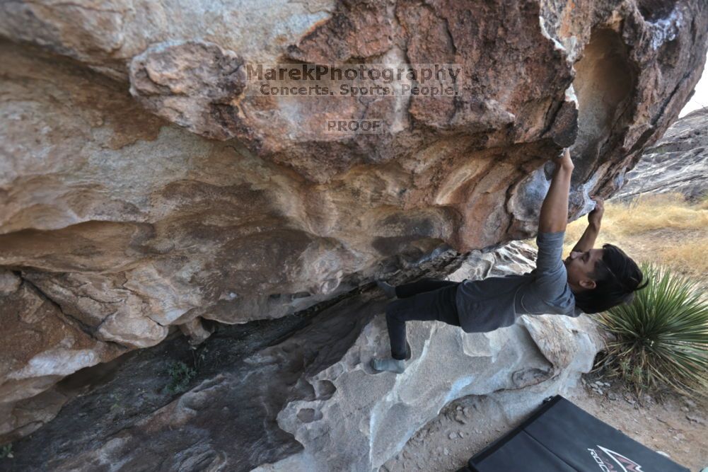 

Filename: SRM_20211126_0940380.jpg
Aperture: f/5.6
Shutter Speed: 1/400
Body: Canon EOS R6
Lens: Canon EF 16-35mm f/2.8 L