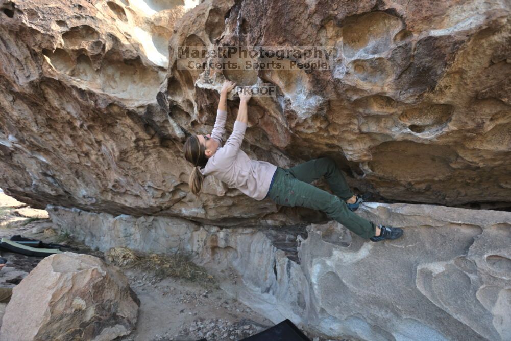 Filename: SRM_20211126_0943340.jpg
Aperture: f/5.6
Shutter Speed: 1/400
Body: Canon EOS R6
Lens: Canon EF 16-35mm f/2.8 L