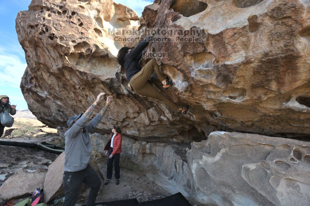 Filename: SRM_20211126_0945160.jpg
Aperture: f/5.6
Shutter Speed: 1/400
Body: Canon EOS R6
Lens: Canon EF 16-35mm f/2.8 L