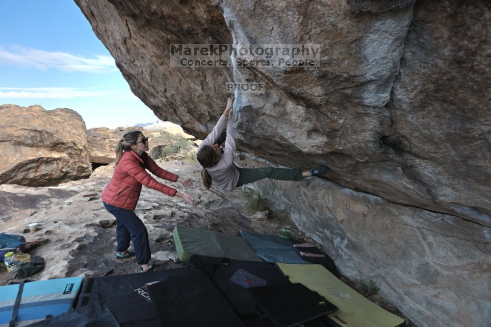 Filename: SRM_20211126_0958590.jpg
Aperture: f/5.6
Shutter Speed: 1/400
Body: Canon EOS R6
Lens: Canon EF 16-35mm f/2.8 L