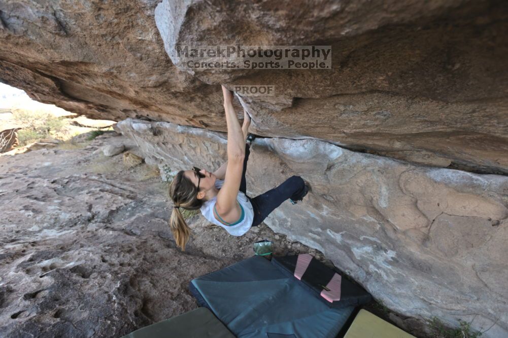 

Filename: SRM_20211126_1001550.jpg
Aperture: f/5.6
Shutter Speed: 1/400
Body: Canon EOS R6
Lens: Canon EF 16-35mm f/2.8 L