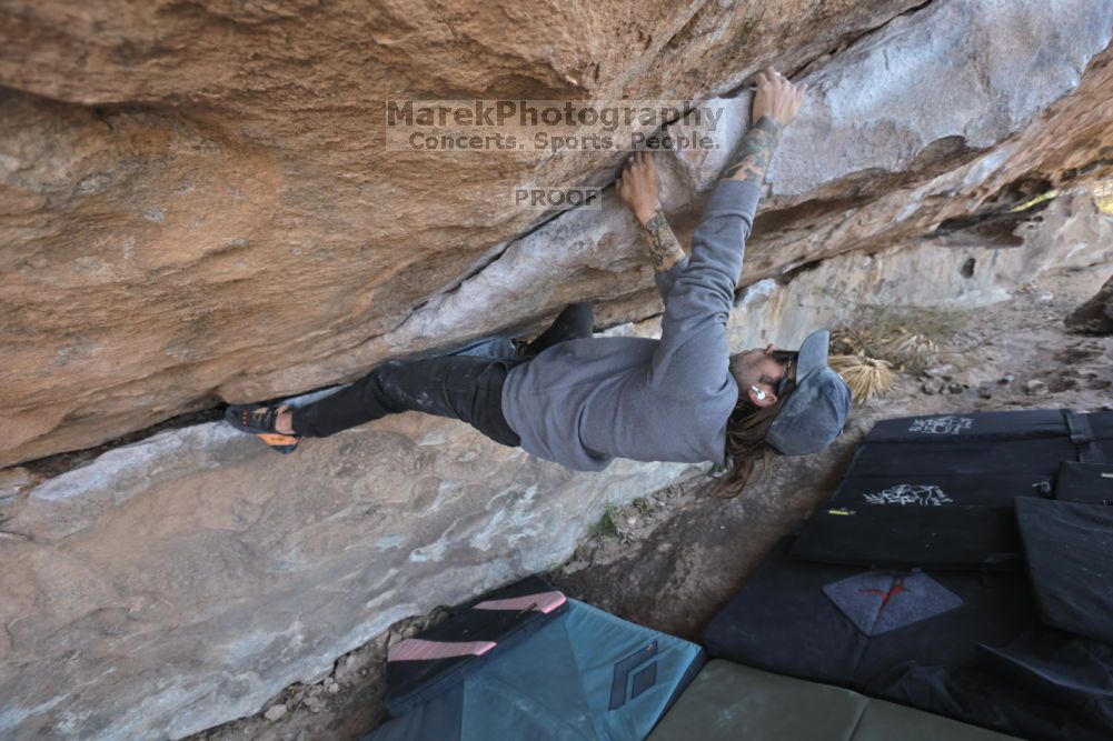 Filename: SRM_20211126_1003540.jpg
Aperture: f/5.6
Shutter Speed: 1/400
Body: Canon EOS R6
Lens: Canon EF 16-35mm f/2.8 L