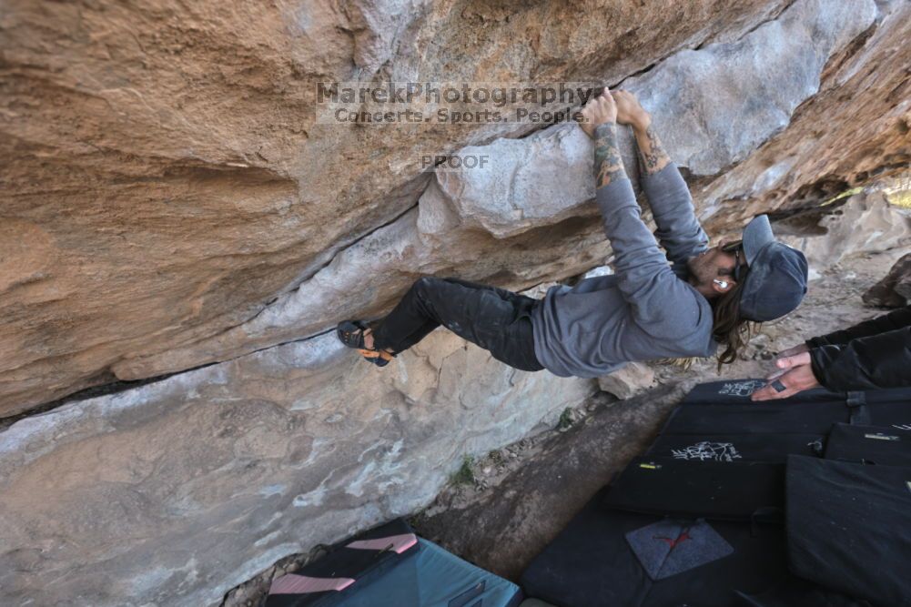 Filename: SRM_20211126_1004010.jpg
Aperture: f/5.6
Shutter Speed: 1/400
Body: Canon EOS R6
Lens: Canon EF 16-35mm f/2.8 L