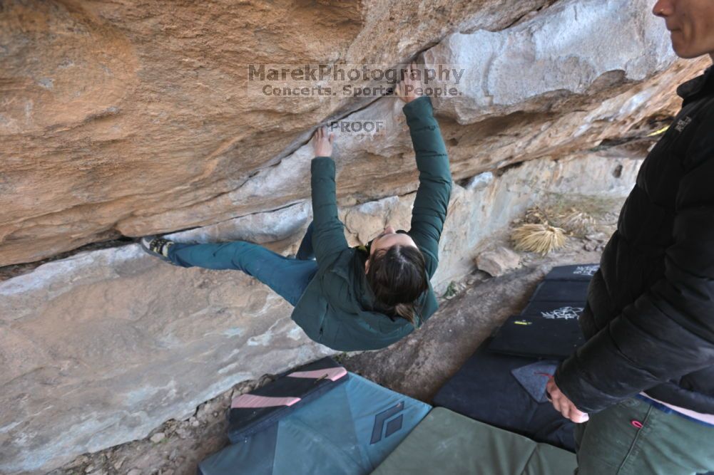 Filename: SRM_20211126_1005340.jpg
Aperture: f/5.6
Shutter Speed: 1/400
Body: Canon EOS R6
Lens: Canon EF 16-35mm f/2.8 L