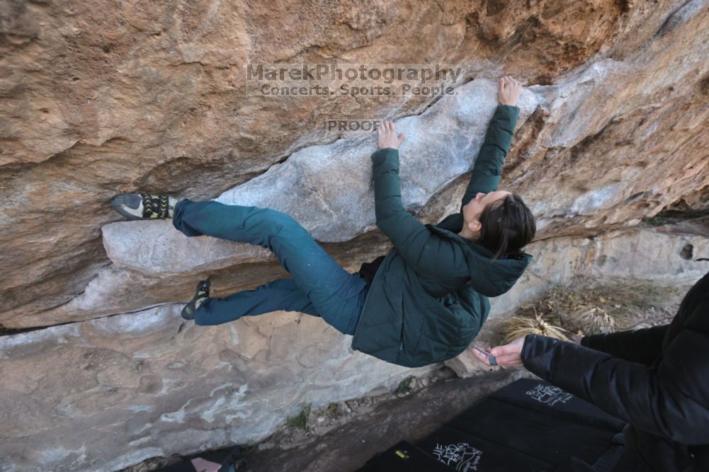 Filename: SRM_20211126_1005520.jpg
Aperture: f/5.6
Shutter Speed: 1/400
Body: Canon EOS R6
Lens: Canon EF 16-35mm f/2.8 L