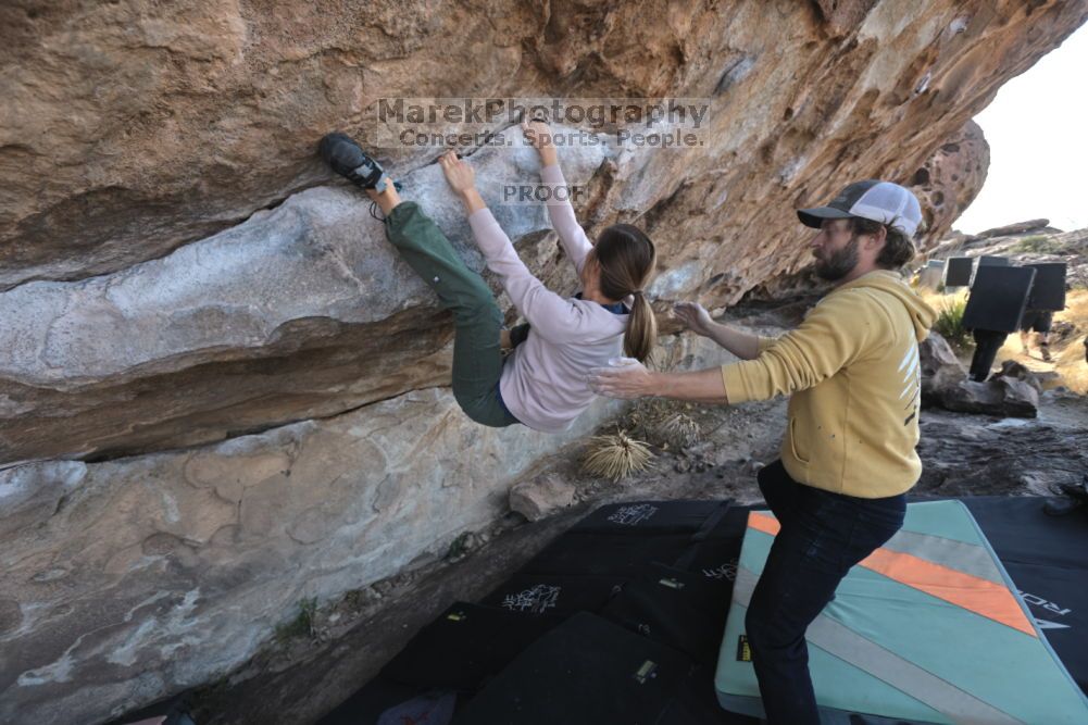 Filename: SRM_20211126_1008130.jpg
Aperture: f/5.6
Shutter Speed: 1/400
Body: Canon EOS R6
Lens: Canon EF 16-35mm f/2.8 L