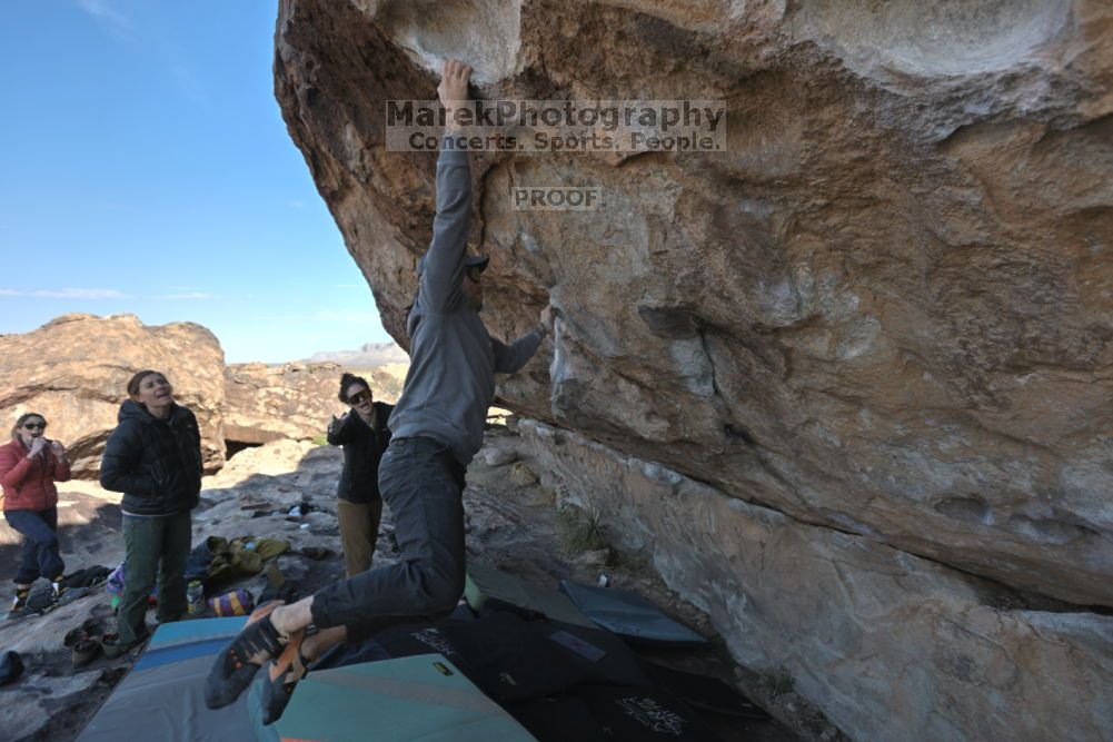 

Filename: SRM_20211126_1014220.jpg
Aperture: f/5.6
Shutter Speed: 1/400
Body: Canon EOS R6
Lens: Canon EF 16-35mm f/2.8 L