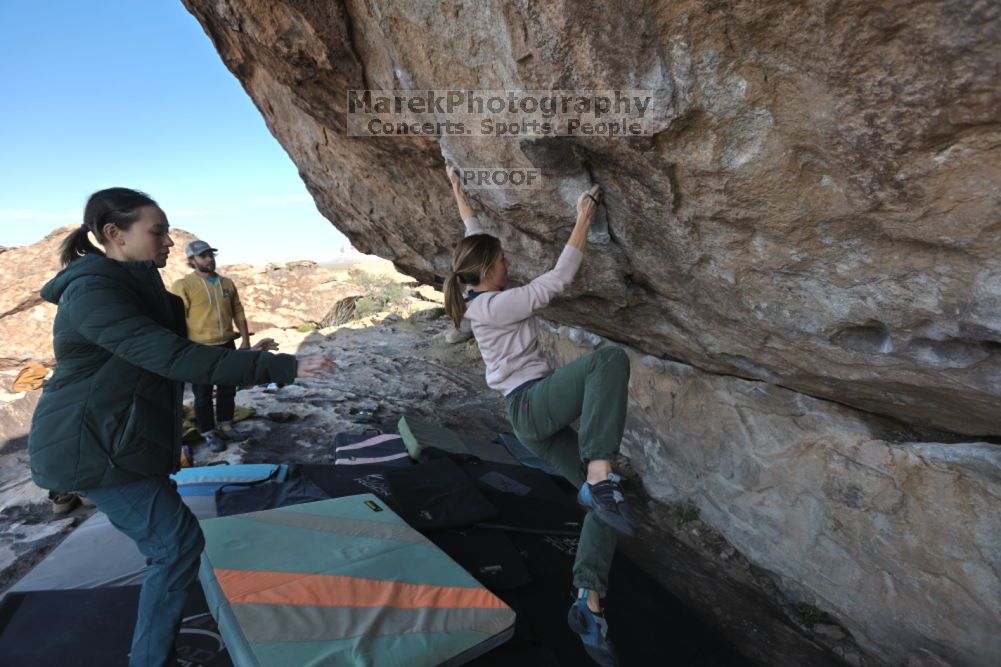 Filename: SRM_20211126_1020430.jpg
Aperture: f/5.6
Shutter Speed: 1/400
Body: Canon EOS R6
Lens: Canon EF 16-35mm f/2.8 L