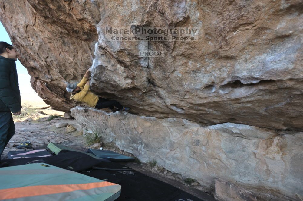 Filename: SRM_20211126_1022040.jpg
Aperture: f/5.6
Shutter Speed: 1/400
Body: Canon EOS R6
Lens: Canon EF 16-35mm f/2.8 L