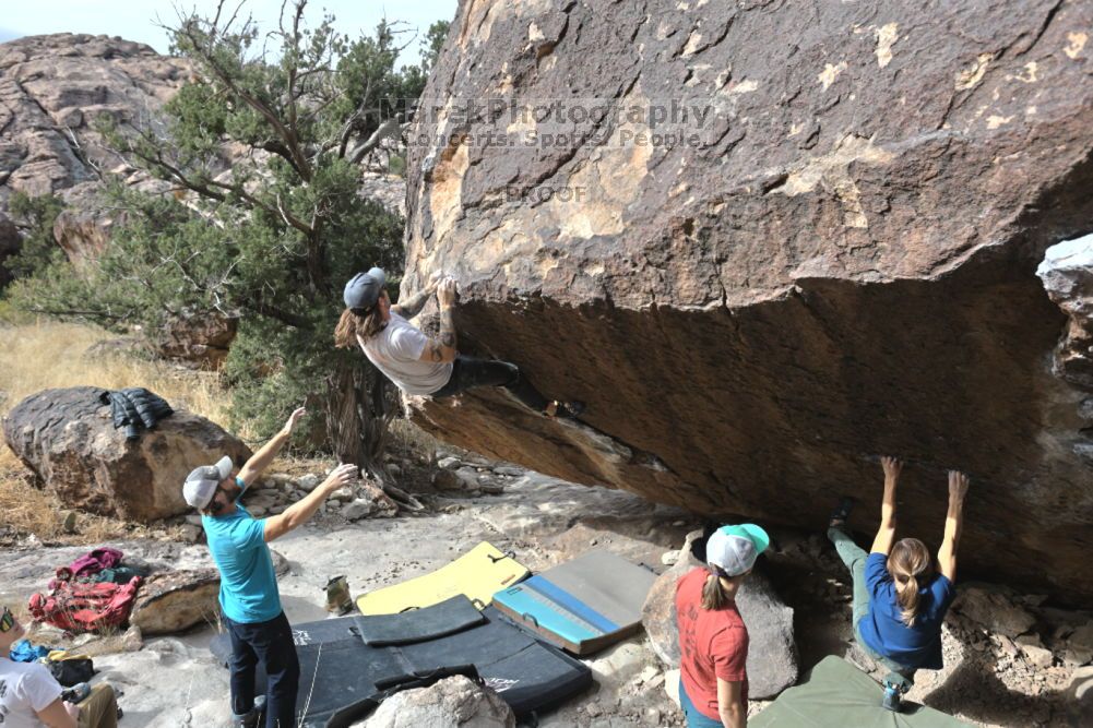Filename: SRM_20211126_1103570.jpg
Aperture: f/5.6
Shutter Speed: 1/400
Body: Canon EOS R6
Lens: Canon EF 16-35mm f/2.8 L
