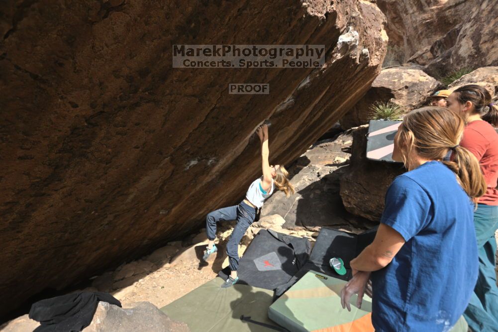 

Filename: SRM_20211126_1108490.jpg
Aperture: f/5.6
Shutter Speed: 1/400
Body: Canon EOS R6
Lens: Canon EF 16-35mm f/2.8 L