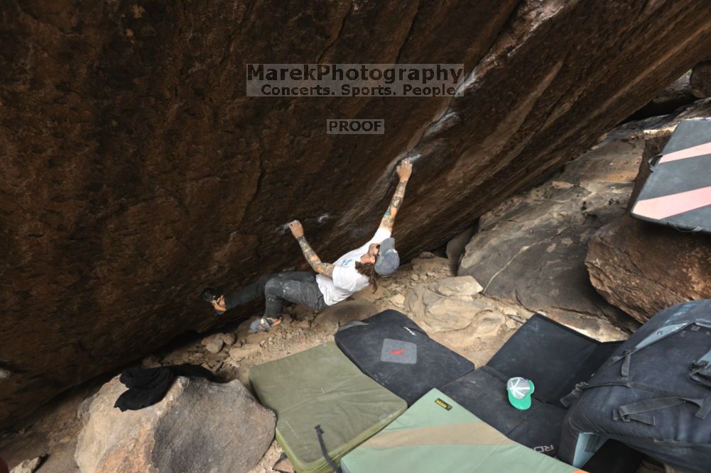 Filename: SRM_20211126_1112380.jpg
Aperture: f/5.6
Shutter Speed: 1/400
Body: Canon EOS R6
Lens: Canon EF 16-35mm f/2.8 L