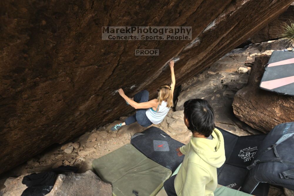 

Filename: SRM_20211126_1115280.jpg
Aperture: f/5.6
Shutter Speed: 1/400
Body: Canon EOS R6
Lens: Canon EF 16-35mm f/2.8 L