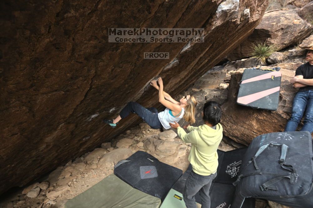 Filename: SRM_20211126_1115300.jpg
Aperture: f/5.6
Shutter Speed: 1/400
Body: Canon EOS R6
Lens: Canon EF 16-35mm f/2.8 L