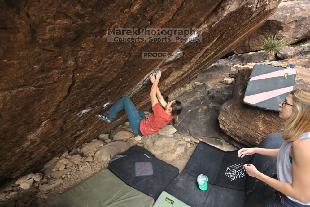 Filename: SRM_20211126_1121450.jpg
Aperture: f/5.6
Shutter Speed: 1/400
Body: Canon EOS R6
Lens: Canon EF 16-35mm f/2.8 L