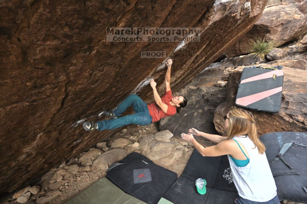 Filename: SRM_20211126_1121490.jpg
Aperture: f/5.6
Shutter Speed: 1/400
Body: Canon EOS R6
Lens: Canon EF 16-35mm f/2.8 L