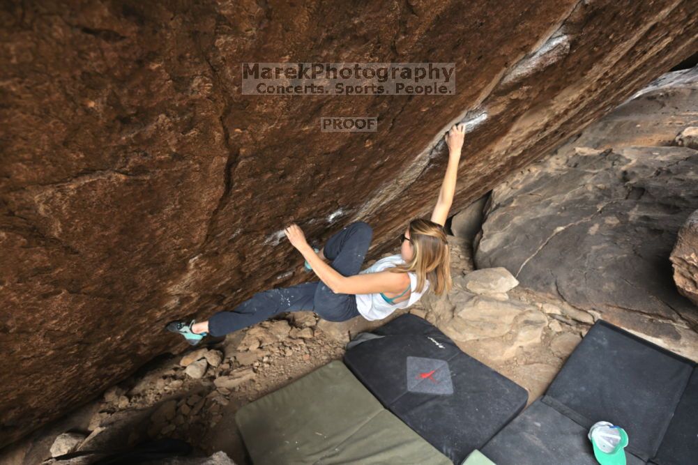 Filename: SRM_20211126_1123000.jpg
Aperture: f/5.6
Shutter Speed: 1/400
Body: Canon EOS R6
Lens: Canon EF 16-35mm f/2.8 L