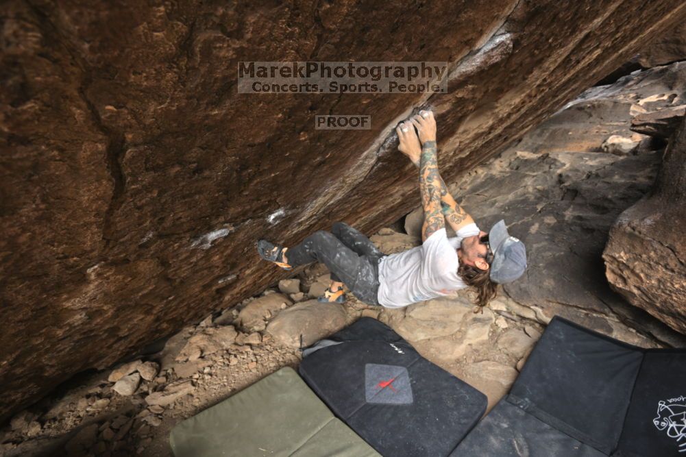 Filename: SRM_20211126_1124380.jpg
Aperture: f/5.6
Shutter Speed: 1/400
Body: Canon EOS R6
Lens: Canon EF 16-35mm f/2.8 L