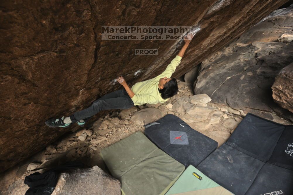 

Filename: SRM_20211126_1125470.jpg
Aperture: f/5.6
Shutter Speed: 1/400
Body: Canon EOS R6
Lens: Canon EF 16-35mm f/2.8 L