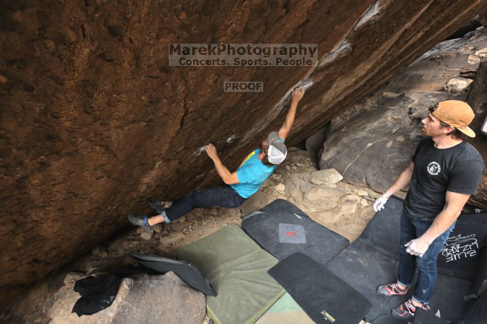 Filename: SRM_20211126_1132430.jpg
Aperture: f/5.6
Shutter Speed: 1/400
Body: Canon EOS R6
Lens: Canon EF 16-35mm f/2.8 L