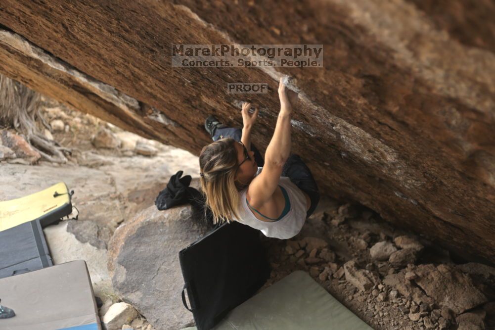 Filename: SRM_20211126_1139481.jpg
Aperture: f/2.8
Shutter Speed: 1/400
Body: Canon EOS R6
Lens: Canon EF 50mm f/1.8 II