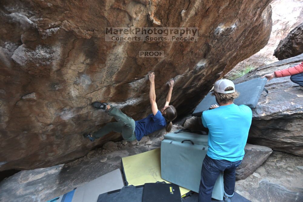 

Filename: SRM_20211126_1213060.jpg
Aperture: f/4.0
Shutter Speed: 1/400
Body: Canon EOS R6
Lens: Canon EF 16-35mm f/2.8 L