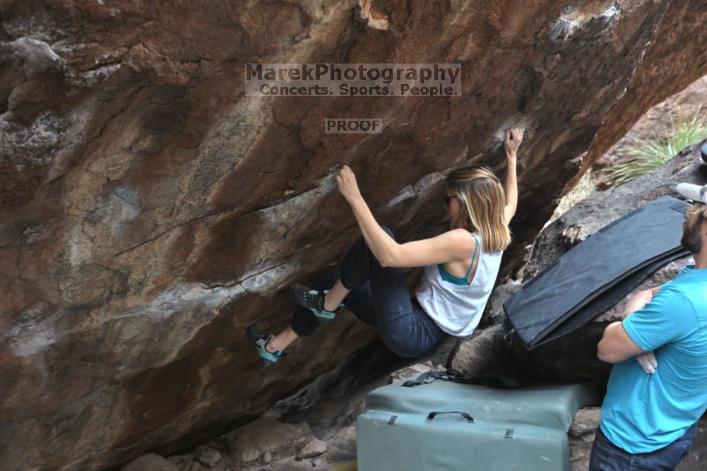 

Filename: SRM_20211126_1218490.jpg
Aperture: f/4.0
Shutter Speed: 1/400
Body: Canon EOS R6
Lens: Canon EF 16-35mm f/2.8 L