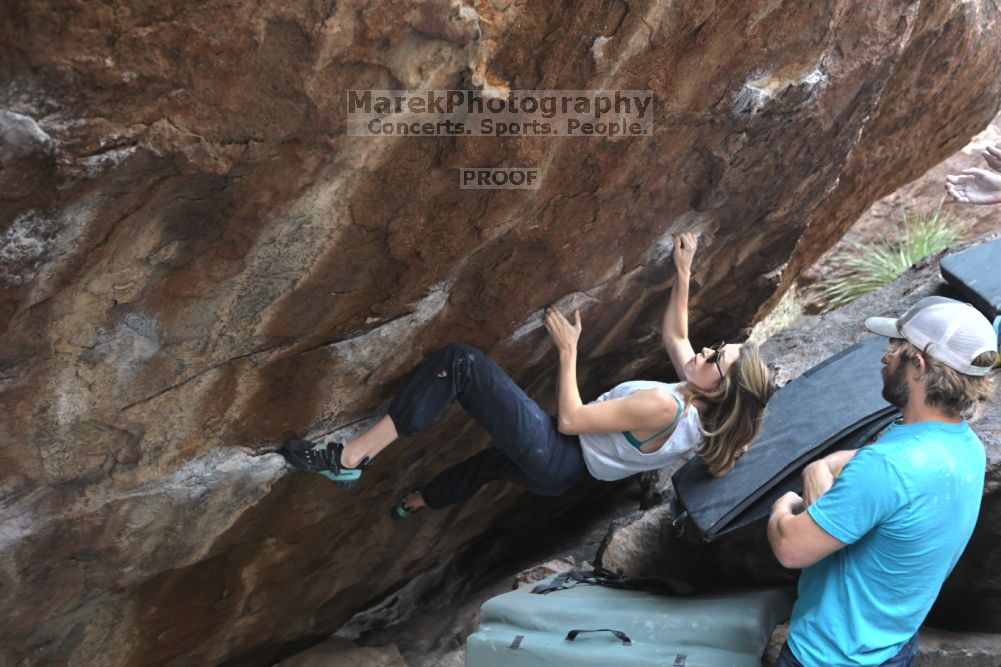 

Filename: SRM_20211126_1218510.jpg
Aperture: f/4.0
Shutter Speed: 1/400
Body: Canon EOS R6
Lens: Canon EF 16-35mm f/2.8 L