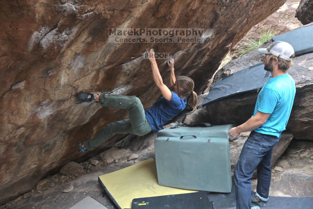 Filename: SRM_20211126_1222090.jpg
Aperture: f/4.0
Shutter Speed: 1/400
Body: Canon EOS R6
Lens: Canon EF 16-35mm f/2.8 L