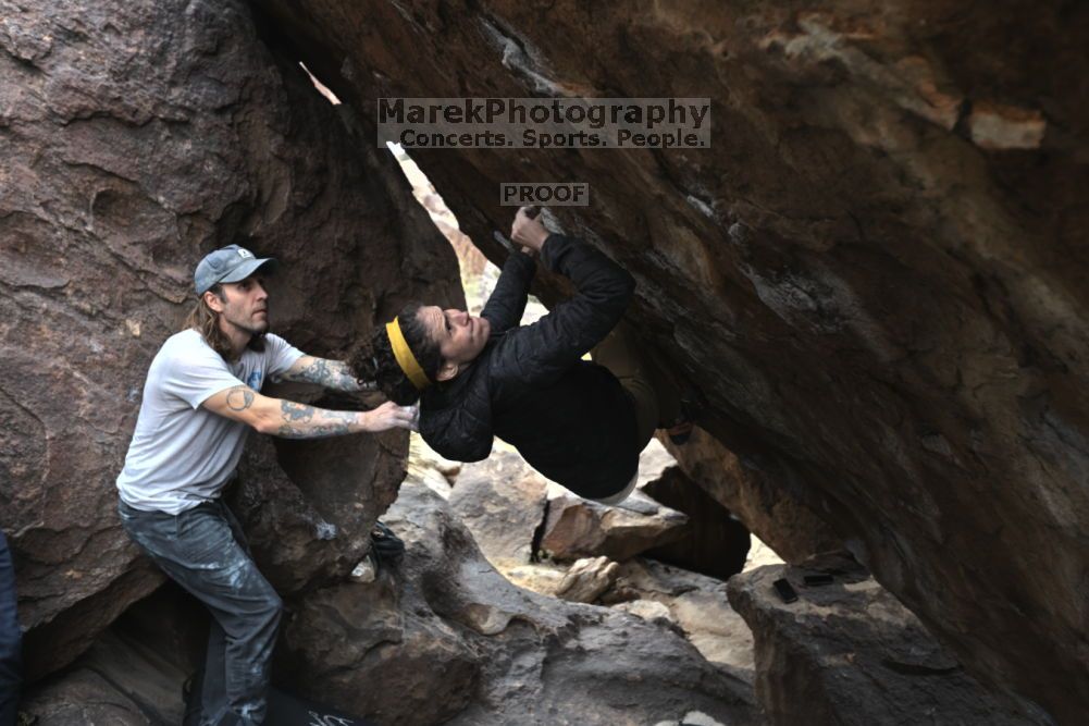 

Filename: SRM_20211126_1226300.jpg
Aperture: f/4.0
Shutter Speed: 1/400
Body: Canon EOS R6
Lens: Canon EF 16-35mm f/2.8 L