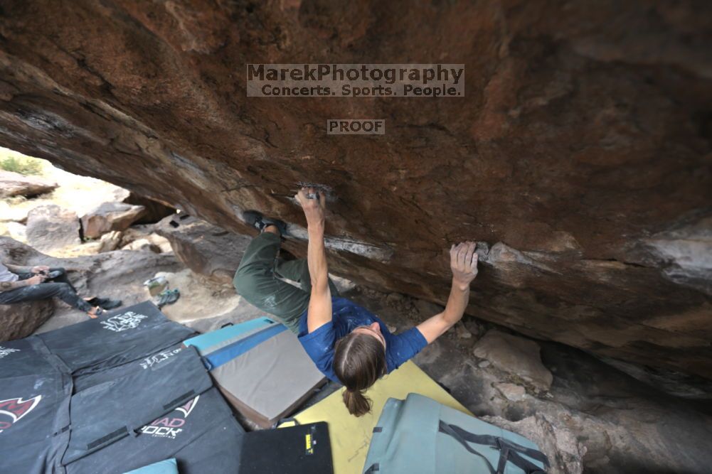 Filename: SRM_20211126_1229080.jpg
Aperture: f/4.0
Shutter Speed: 1/400
Body: Canon EOS R6
Lens: Canon EF 16-35mm f/2.8 L