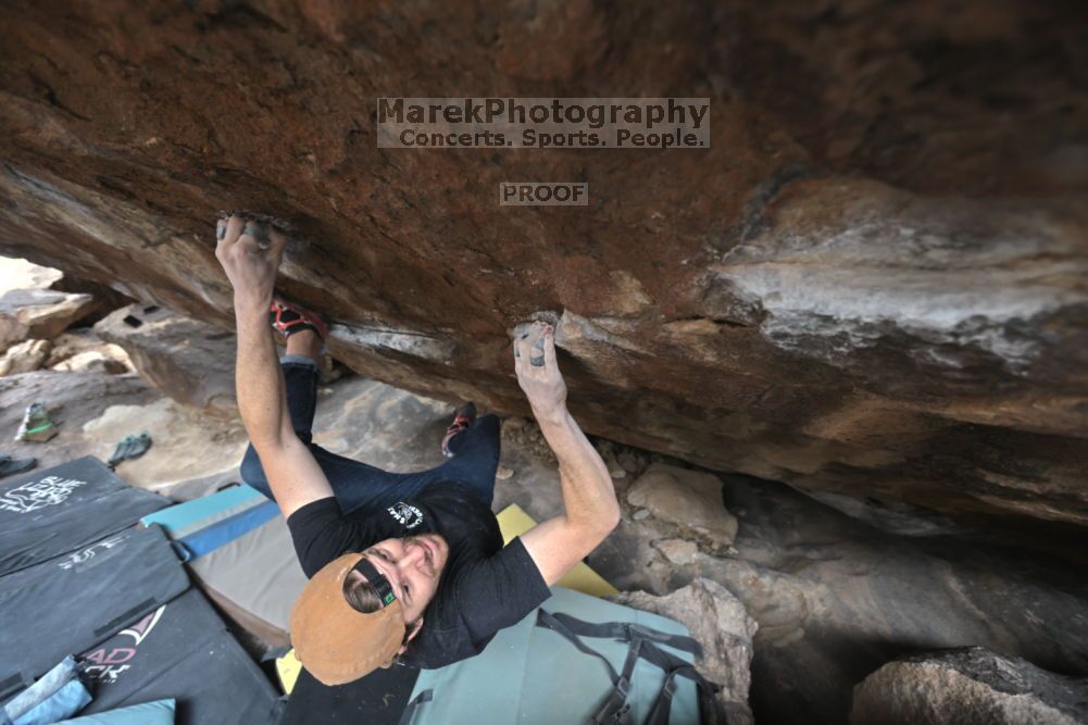 

Filename: SRM_20211126_1230530.jpg
Aperture: f/4.0
Shutter Speed: 1/400
Body: Canon EOS R6
Lens: Canon EF 16-35mm f/2.8 L