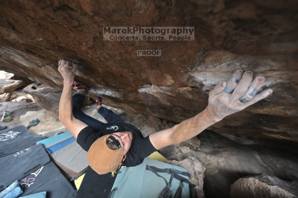 

Filename: SRM_20211126_1230540.jpg
Aperture: f/4.0
Shutter Speed: 1/400
Body: Canon EOS R6
Lens: Canon EF 16-35mm f/2.8 L