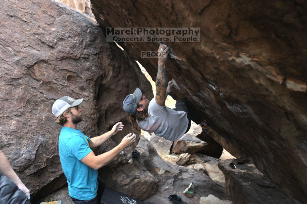 

Filename: SRM_20211126_1231520.jpg
Aperture: f/4.0
Shutter Speed: 1/400
Body: Canon EOS R6
Lens: Canon EF 16-35mm f/2.8 L