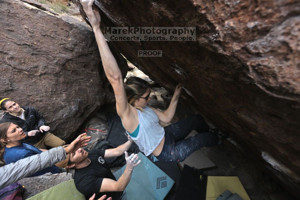 Filename: SRM_20211126_1240320.jpg
Aperture: f/5.6
Shutter Speed: 1/400
Body: Canon EOS R6
Lens: Canon EF 16-35mm f/2.8 L