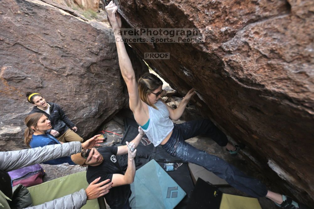 Filename: SRM_20211126_1240360.jpg
Aperture: f/5.6
Shutter Speed: 1/400
Body: Canon EOS R6
Lens: Canon EF 16-35mm f/2.8 L