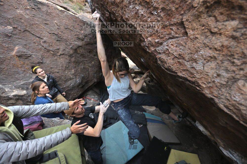 Filename: SRM_20211126_1240420.jpg
Aperture: f/5.6
Shutter Speed: 1/400
Body: Canon EOS R6
Lens: Canon EF 16-35mm f/2.8 L