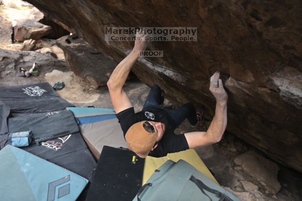 

Filename: SRM_20211126_1241420.jpg
Aperture: f/5.6
Shutter Speed: 1/400
Body: Canon EOS R6
Lens: Canon EF 16-35mm f/2.8 L