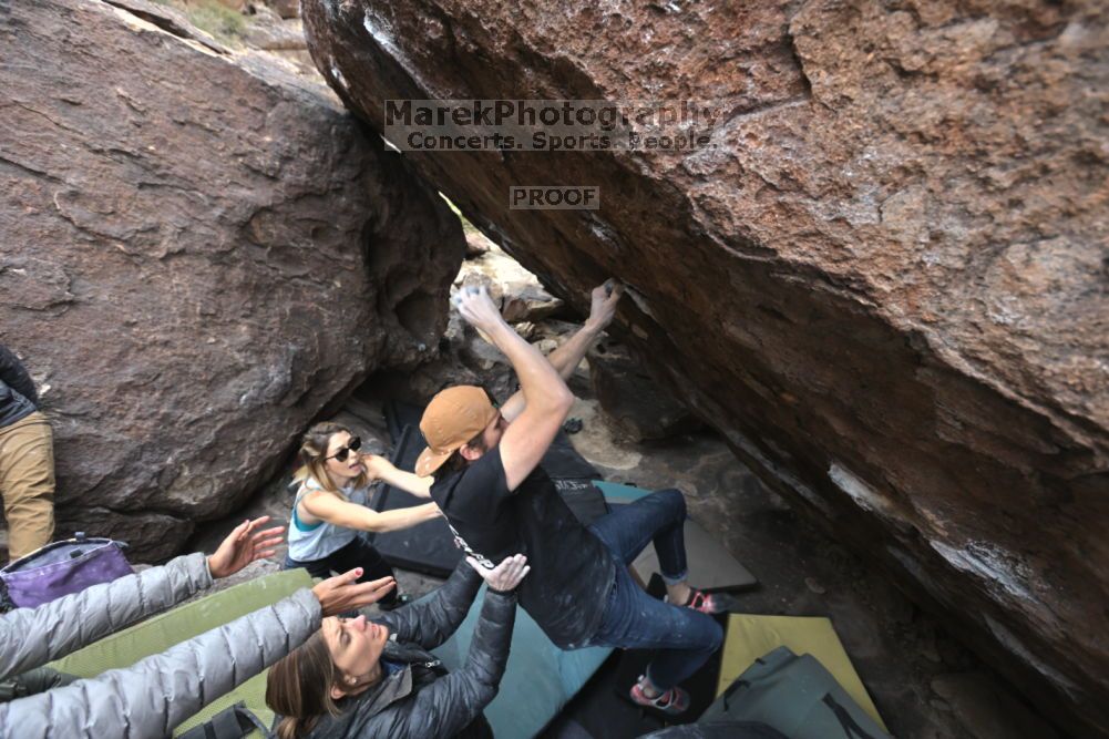 

Filename: SRM_20211126_1242070.jpg
Aperture: f/5.6
Shutter Speed: 1/400
Body: Canon EOS R6
Lens: Canon EF 16-35mm f/2.8 L