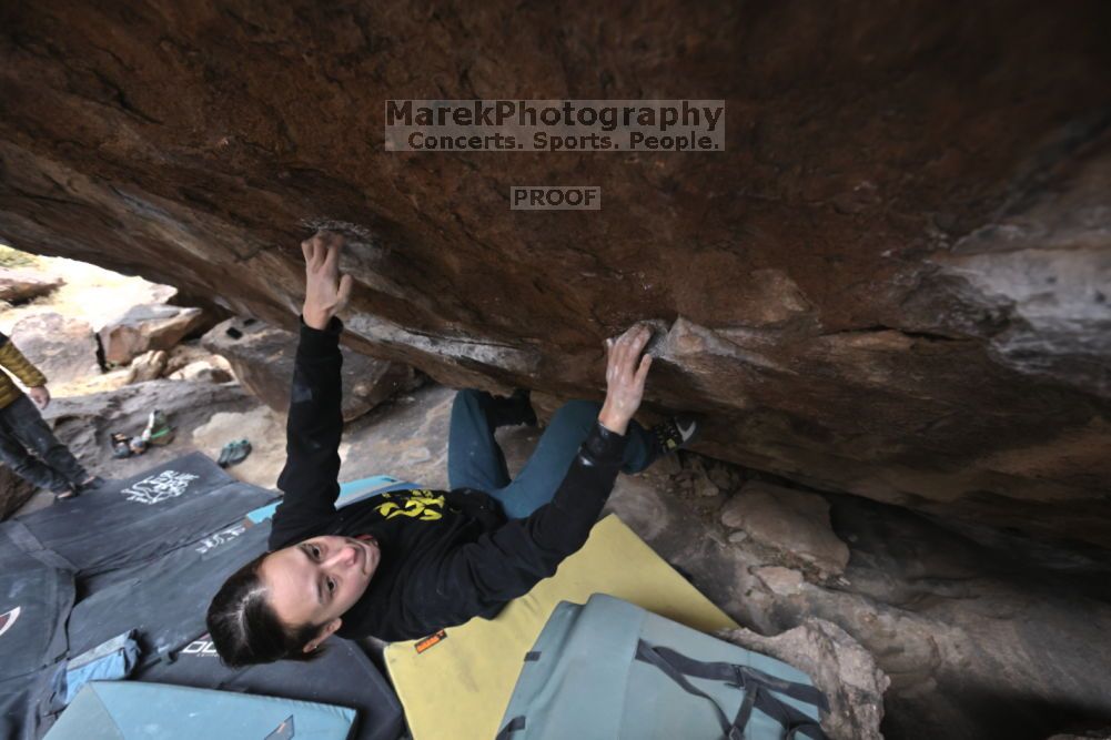 

Filename: SRM_20211126_1247570.jpg
Aperture: f/5.6
Shutter Speed: 1/400
Body: Canon EOS R6
Lens: Canon EF 16-35mm f/2.8 L