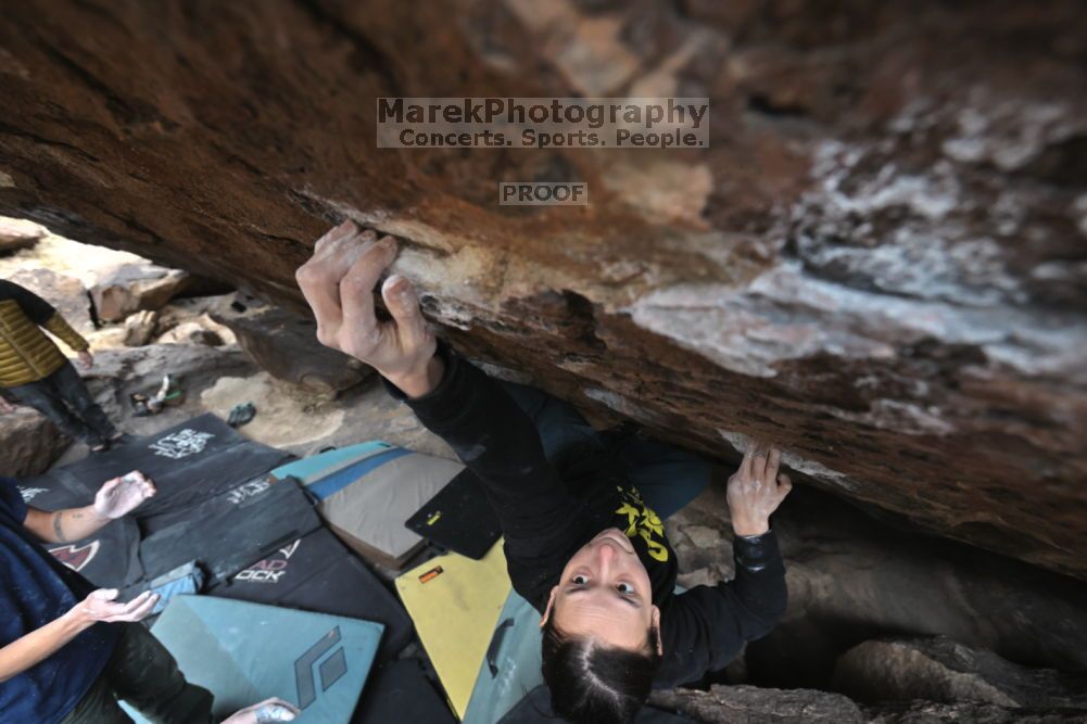 

Filename: SRM_20211126_1248040.jpg
Aperture: f/5.6
Shutter Speed: 1/400
Body: Canon EOS R6
Lens: Canon EF 16-35mm f/2.8 L