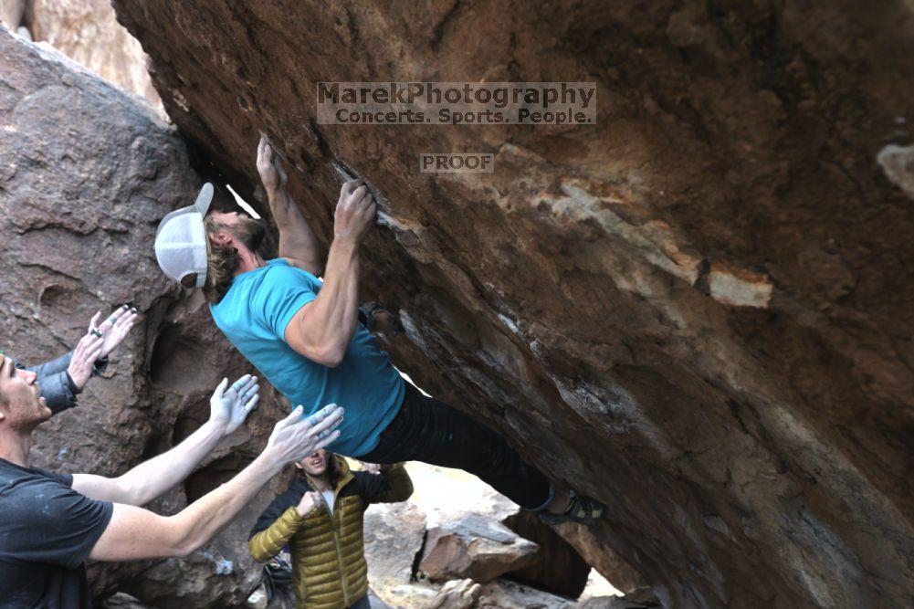 Filename: SRM_20211126_1256420.jpg
Aperture: f/5.6
Shutter Speed: 1/400
Body: Canon EOS R6
Lens: Canon EF 16-35mm f/2.8 L