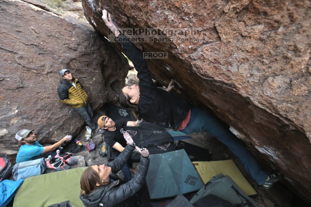 Filename: SRM_20211126_1257510.jpg
Aperture: f/5.6
Shutter Speed: 1/400
Body: Canon EOS R6
Lens: Canon EF 16-35mm f/2.8 L