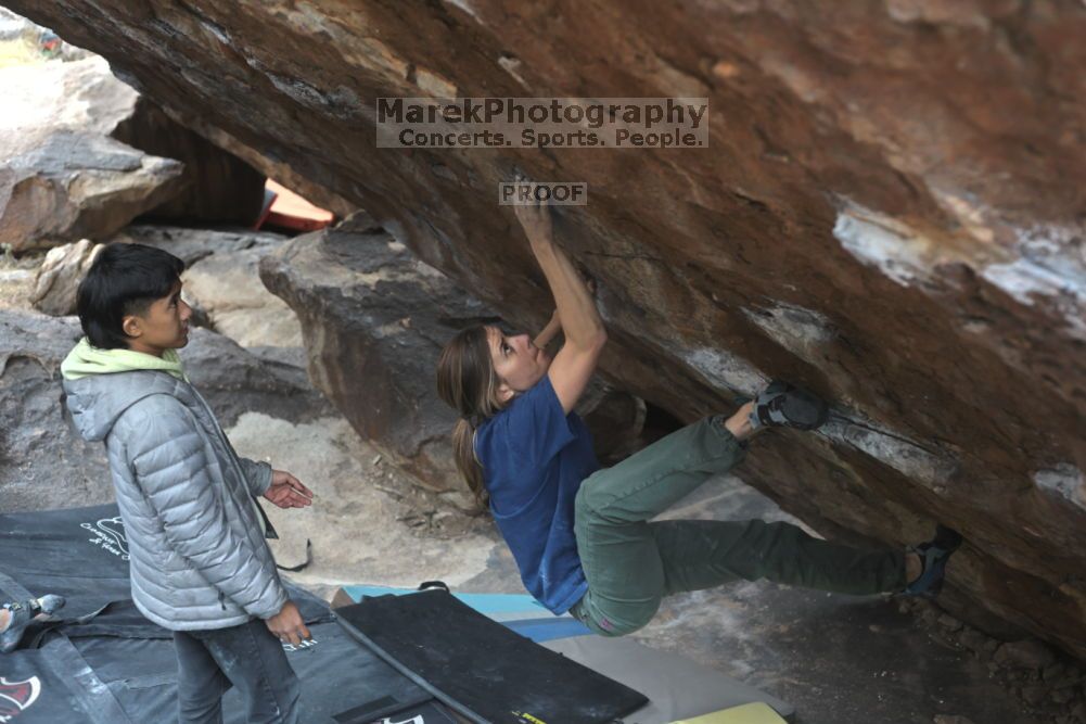 

Filename: SRM_20211126_1321190.jpg
Aperture: f/4.0
Shutter Speed: 1/400
Body: Canon EOS R6
Lens: Canon EF 50mm f/1.8 II