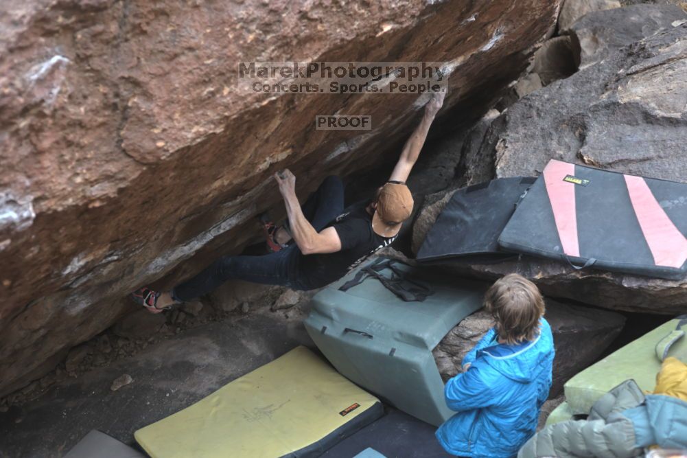 

Filename: SRM_20211126_1350171.jpg
Aperture: f/4.0
Shutter Speed: 1/400
Body: Canon EOS R6
Lens: Canon EF 50mm f/1.8 II