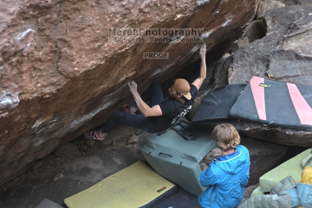 Filename: SRM_20211126_1350180.jpg
Aperture: f/4.0
Shutter Speed: 1/400
Body: Canon EOS R6
Lens: Canon EF 50mm f/1.8 II