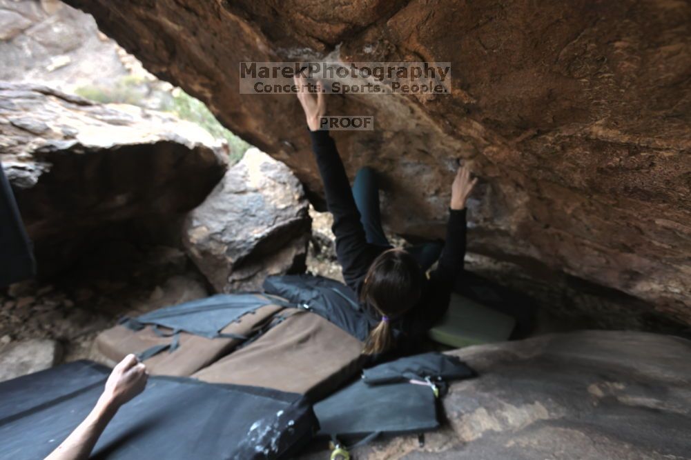 

Filename: SRM_20211126_1430300.jpg
Aperture: f/4.5
Shutter Speed: 1/400
Body: Canon EOS R6
Lens: Canon EF 16-35mm f/2.8 L